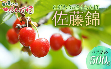 yߘa8NYs\ẑځuсviLTCYȏjol 500g ܂̂ډ K-835