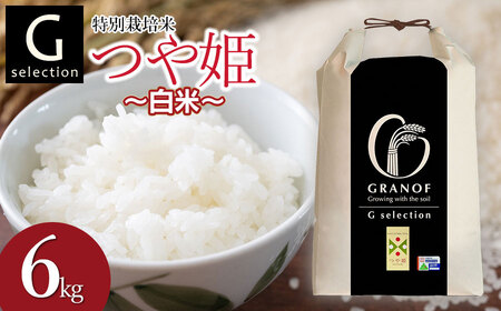 [令和6年産先行予約] 特別栽培米 Gセレクション つや姫 精米 6kg(6kg×1袋) 山形県鶴岡市産 A06-001 鶴岡地区物産協同組合