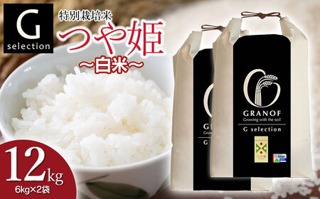 【令和7年産先行予約】 特別栽培米 Gセレクション つや姫 白米 12kg (6kg×2袋) 山形県鶴岡市産　株式会社グラノフ