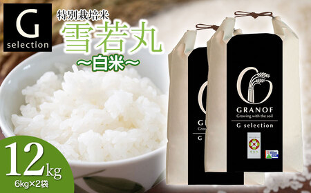 【令和7年産先行予約】 特別栽培米 Gセレクション 雪若丸 白米 12kg (6kg×2袋) 山形県鶴岡市産　株式会社グラノフ