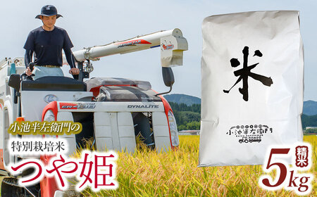 数量限定 [令和6年産先行予約] 山形県庄内産 小池半左衛門のお米 特別栽培米 つや姫 精米 5kg (5kg×1袋)