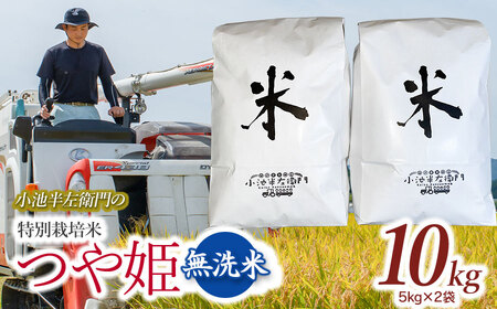 ʌ yߘa7NYzyVāz R`Y rq̂ ʍ͔| P  10kg (5kg×2)