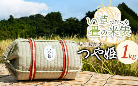 [令和6年産先行予約] い草で作った畳の米俵 特別栽培米 つや姫 1kg 山形県鶴岡市産 黒川まるいし農場
