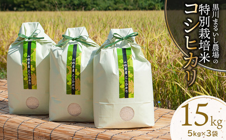 [令和6年産先行予約] 黒川まるいし農場の特別栽培米 コシヒカリ 15kg(5kg×3袋) 山形県鶴岡市産