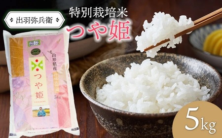 数量限定[令和6年産]特別栽培米つや姫 白米 5kg(5kg×1袋) 山形県鶴岡市産 出羽弥兵衛 株式会社