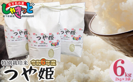 [令和6年産 新米]特別栽培米つや姫 6kg (2kg×3袋) 山形県鶴岡産 K-642 百万石の里しゃきっと