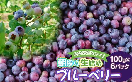 【令和7年産 先行予約】にこにこふぁーむの朝採り生詰めブルーベリー100g×6パック　K-739