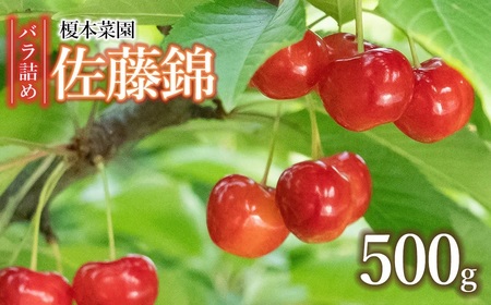 yߘa8NYs\z R` ߉sY  uсv(LTCYȏ)  ol 500g  |{؉  K-835