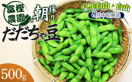 [令和8年産先行予約] 富樫農園の朝採りだだちゃ豆[8月中旬発送]500g 早生白山・白山 K-812