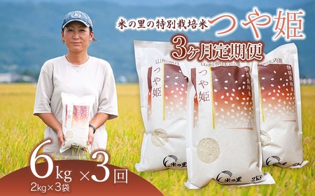 [令和6年産 新米][3ヶ月定期便] 米の里の特別栽培米 つや姫 精米 6kg(2kg×3袋)×3ヶ月 山形県鶴岡市産