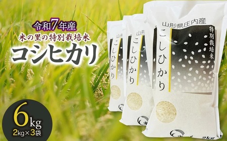 [令和7年産先行予約]米の里の特別栽培米 コシヒカリ 精米 6kg(2kg×3袋) 山形県鶴岡市産 K-763