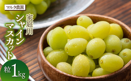 yߘa8N313܂Ŕz ƒp VC}XJbg  1kg@}^_