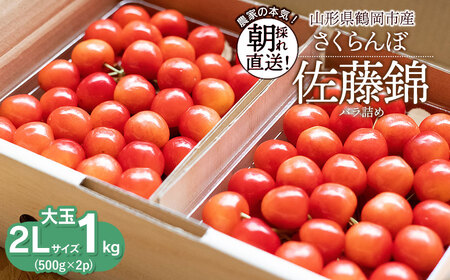 [令和8年産先行予約][大玉]さくらんぼ 佐藤錦 2Lサイズ バラ詰め 1kg(500g×2P) 鶴岡市産 大膳農園