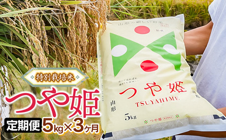 [定期便]令和6年産 特別栽培米 つや姫 精米 5kg×3ヶ月 山形県鶴岡市産 株式会社嘉左ヱ門