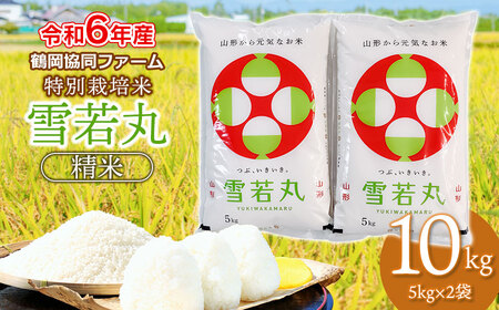 [令和6年産] 特別栽培米 雪若丸 精米 10kg (5kg×2袋) 山形県鶴岡産 鶴岡協同ファーム