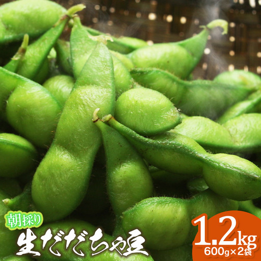 【令和8年産先行予約】【8/24～8/30発送】 朝採り生だだちゃ豆 1.2kg(600g×2袋) 山形県鶴岡市産　株式会社菜な八（鶴岡ファーマーズ）