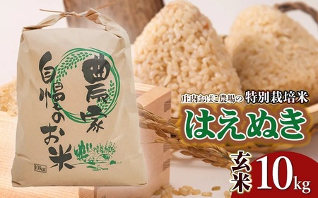 【令和7年産米 先行予約】庄内おばこ農場の特別栽培米 はえぬき【玄米】10kg（10kg×1袋）　K-759