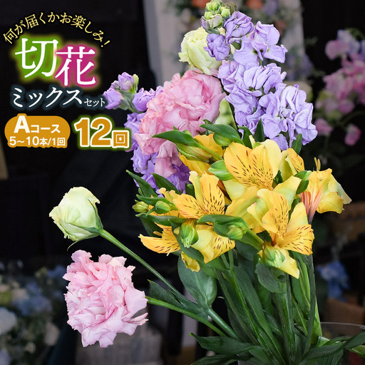 何が届くかお楽しみ★【12ヶ月定期便】鶴岡産切花ミックスセットAコース 12回　花蔵（HANAZO）　K-733