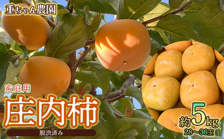 [令和7年産先行予約]家庭用 庄内柿(ひらたねなし柿)約5kg(28〜36玉) 山形県鶴岡市産 重ちゃん農園
