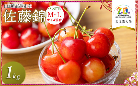 [令和7年産先行予約]さくらんぼ 佐藤錦 バラ詰め M〜L混合 1kg (500g×2P) [市制施行20周年記念返礼品] 庄内さくらんぼ園