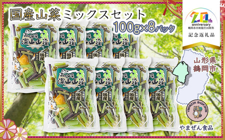 国産山菜ミックスセット(100g × 8パック) [市制施行20周年記念返礼品] やまぜん食品 K-730