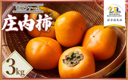 [令和7年産先行予約]庄内柿 約3kg 山形県鶴岡市産 [市制施行20周年記念返礼品] 菅原ファーム