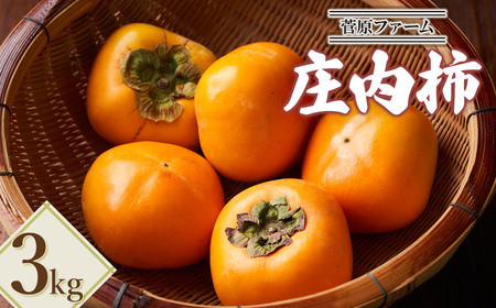 [令和7年産先行予約] 庄内柿 約3kg 山形県鶴岡市産 菅原ファーム