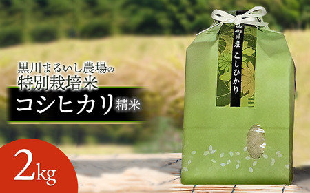 [令和7年産先行予約] 黒川まるいし農場の特別栽培米 コシヒカリ 2kg 山形県鶴岡市産 K-721
