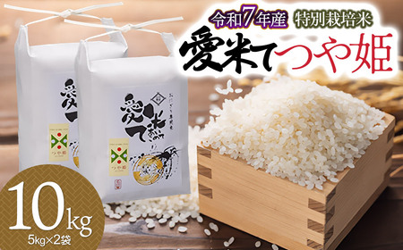 [令和7年産先行予約]特別栽培米 つや姫 10kg(5kg×2袋) 山形県鶴岡市産 愛米て