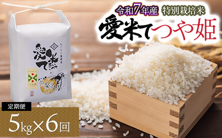 [令和7年産先行予約][6ヶ月定期便]特別栽培米 つや姫 5kg×6ヶ月 山形県鶴岡市産 愛米て