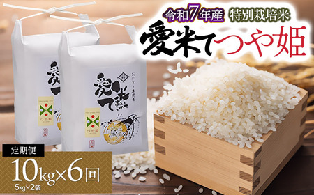 [令和7年産先行予約][6ヶ月定期便]特別栽培米 つや姫 10kg(5Kg×2袋)× 6ヶ月 山形県鶴岡市産 愛米て