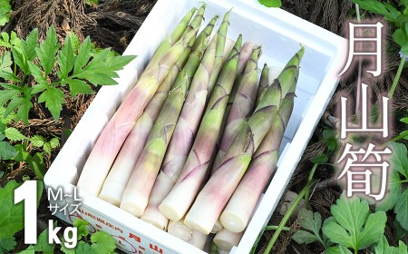 庄内の恵み屋 山形県庄内産 月山筍 2kg（Amazon.co.jp: 庄内の