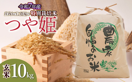 yߘa7NYs\z΂_̓ʍ͔| P  10kg (10kg×1)@K-7111