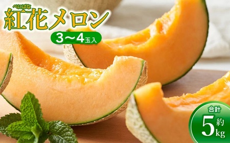 [令和8年産先行予約] 紅花メロン(赤肉) 約5kg(3〜4玉入)山形県鶴岡市産 小林ファーム