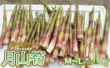 yߘa8NYs\zR M`LTCY 1kg@R`߉Y@OCXt@[