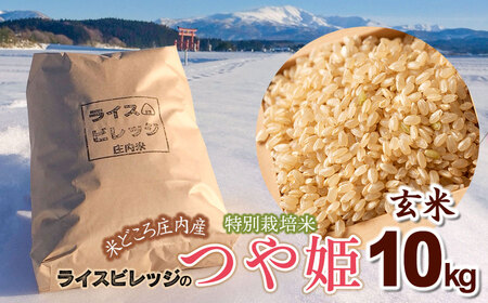 令和7年産 米どころ庄内産 ライスビレッジの特別栽培米 つや姫 玄米10kg K-7117