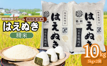 [令和7年産][新米] 特別栽培米はえぬき 10kg (5kg×2袋) 山形県鶴岡産 鶴岡協同ファーム