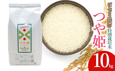 【令和7年産】 ばんどう農園の特別栽培米つや姫 白米10kg　山形県鶴岡市産　K-777