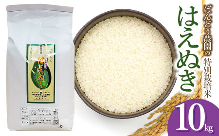 [令和7年産][新米] ばんどう農園の特別栽培米はえぬき 白米10kg 山形県鶴岡市産 K-781