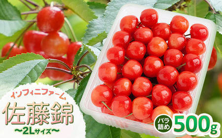 yߘa8NYs\z CtBjt@[̂ځuсvol 500g i2kTCYj@K-848