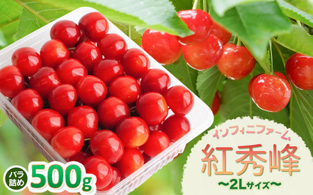 [令和8年産先行予約] インフィニファームのさくらんぼ「紅秀峰」バラ詰め 500g (2Lサイズ〜) K-848