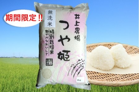 A01-099　【期間限定】井上農場の特別栽培米つや姫無洗米６kg