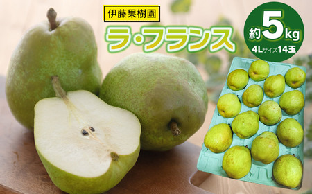 �y�ߘa8�N�Y��s�\��z���E�t�����X�i�m���j 4L�T�C�Y ��5kg (14��)�@�ɓ��ʎ���