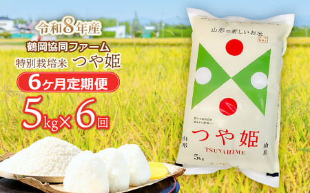 �y�ߘa8�N�Y��s�\��z���ʍ͔|�Ă�P 5kg (5kg×1��)×6�����y����ցz�@�߉������t�@�[��