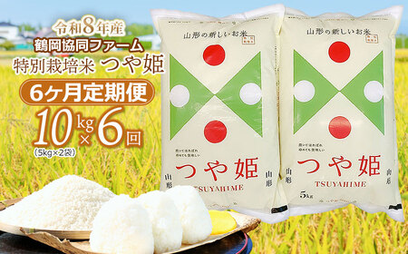 �y�ߘa8�N�Y��s�\��z���ʍ͔|�Ă�P 10kg (5kg×2��)×6�����y����ցz�@�߉������t�@�[��