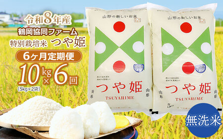 �y�ߘa8�N�Y��s�\��z���ʍ͔|�Ă�P ������ 10kg (5kg×2��)×6�����y����ցz�@�߉������t�@�[��