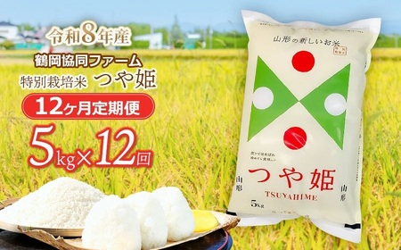 �y�ߘa8�N�Y��s�\��z���ʍ͔|�Ă�P 5kg (5kg×1��)×12�����y����ցz�@�߉������t�@�[��