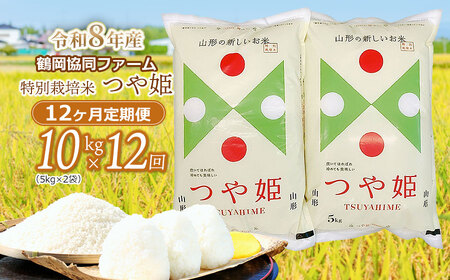 �y�ߘa8�N�Y��s�\��z���ʍ͔|�Ă�P 10kg (5kg×2��)×12�����y����ցz�@�߉������t�@�[��