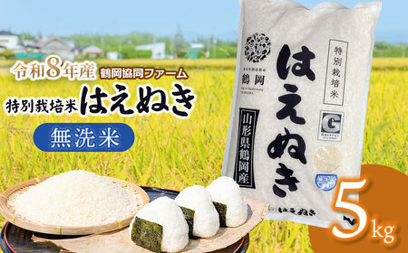 [令和8年産先行予約] 特別栽培米はえぬき 無洗米 5kg (5kg×1袋) 山形県鶴岡産 鶴岡協同ファーム