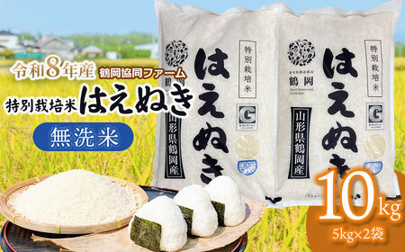 �y�ߘa8�N�Y��s�\��z ���ʍ͔|�Ă͂��ʂ� �����ā@10kg (5kg×2��)�@�R�`���߉��Y�@�߉������t�@�[��